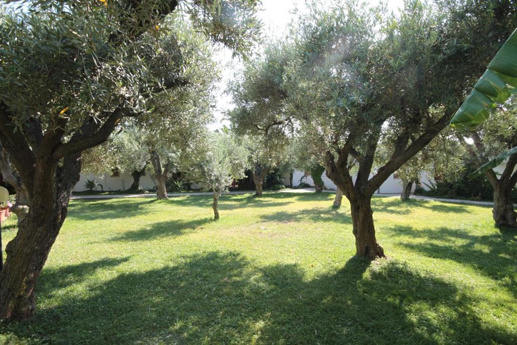 Hotel Tonicello &